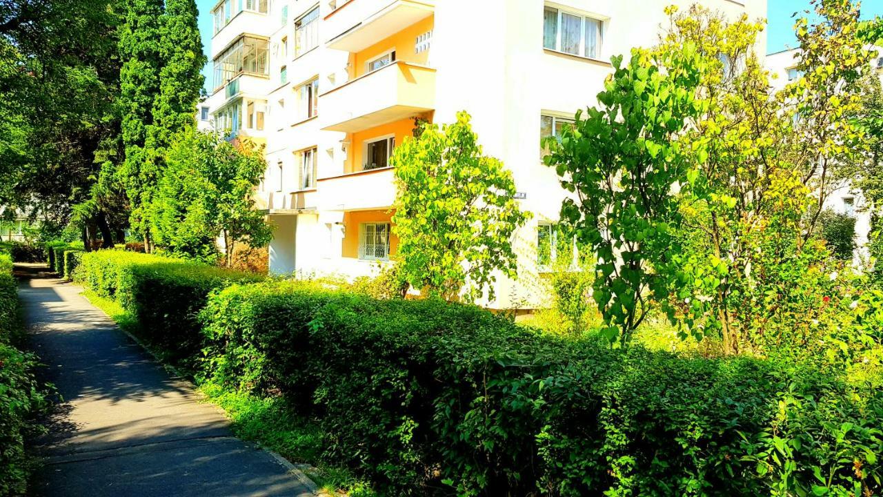 Luxury Paul Apartment Green, Private & Accessible Brasov Ngoại thất bức ảnh